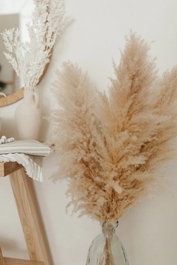 Premium Luxe Pampas Grass - assorted