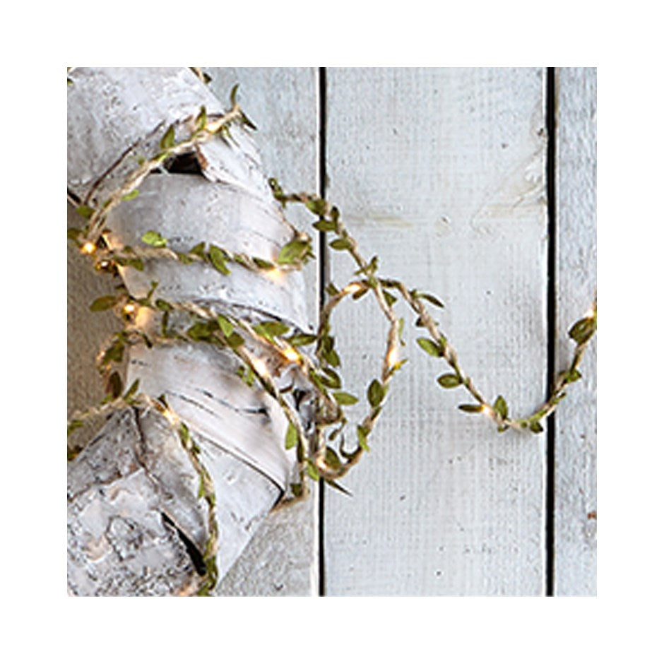 Mistletoe Wire LED String Lights Green
