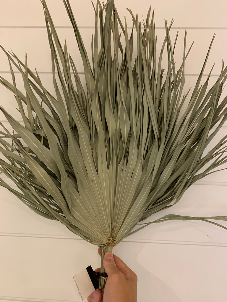 Natural Boho Palm Fan l Large