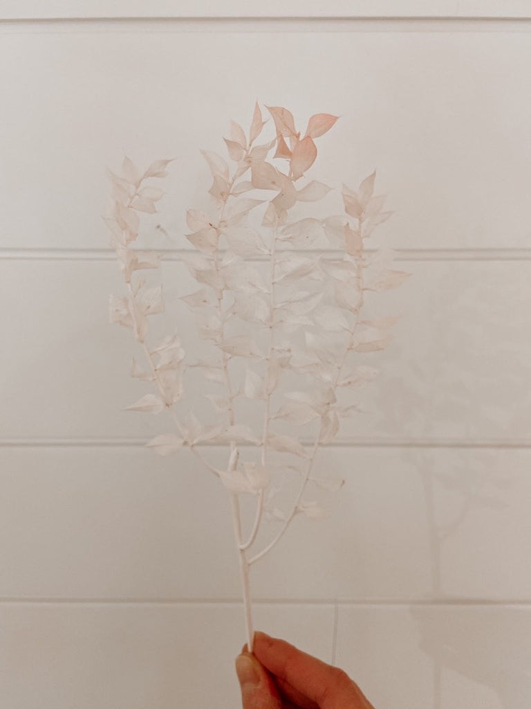 Pink Ruscus l Piece